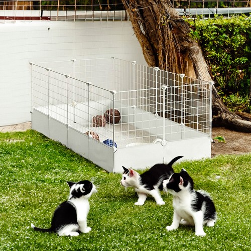 Panel pet dog - pet,