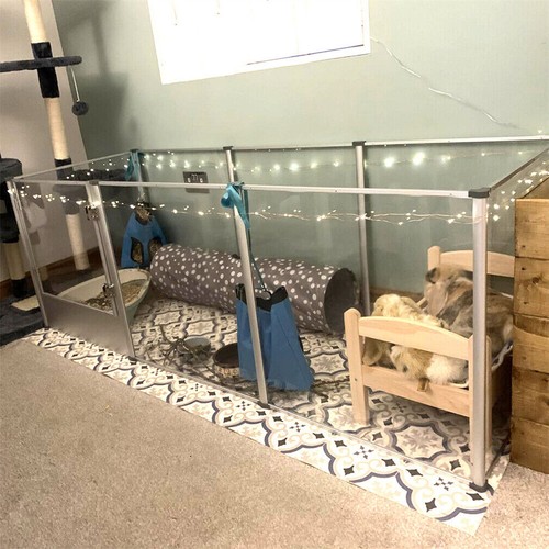 Dog whelping pen box - in,