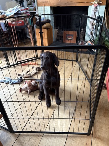 Homidec dog pen panel puppy - homidec, pen,