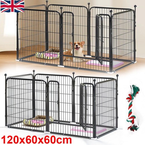 Dog playpen indoor - dog, play
